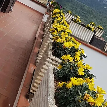 La Fenice Apartman *