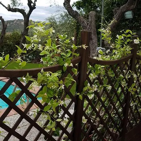 La Fenice Apartman Imperia